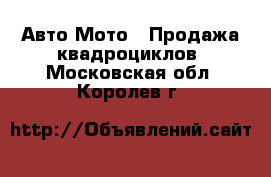 Авто Мото - Продажа квадроциклов. Московская обл.,Королев г.